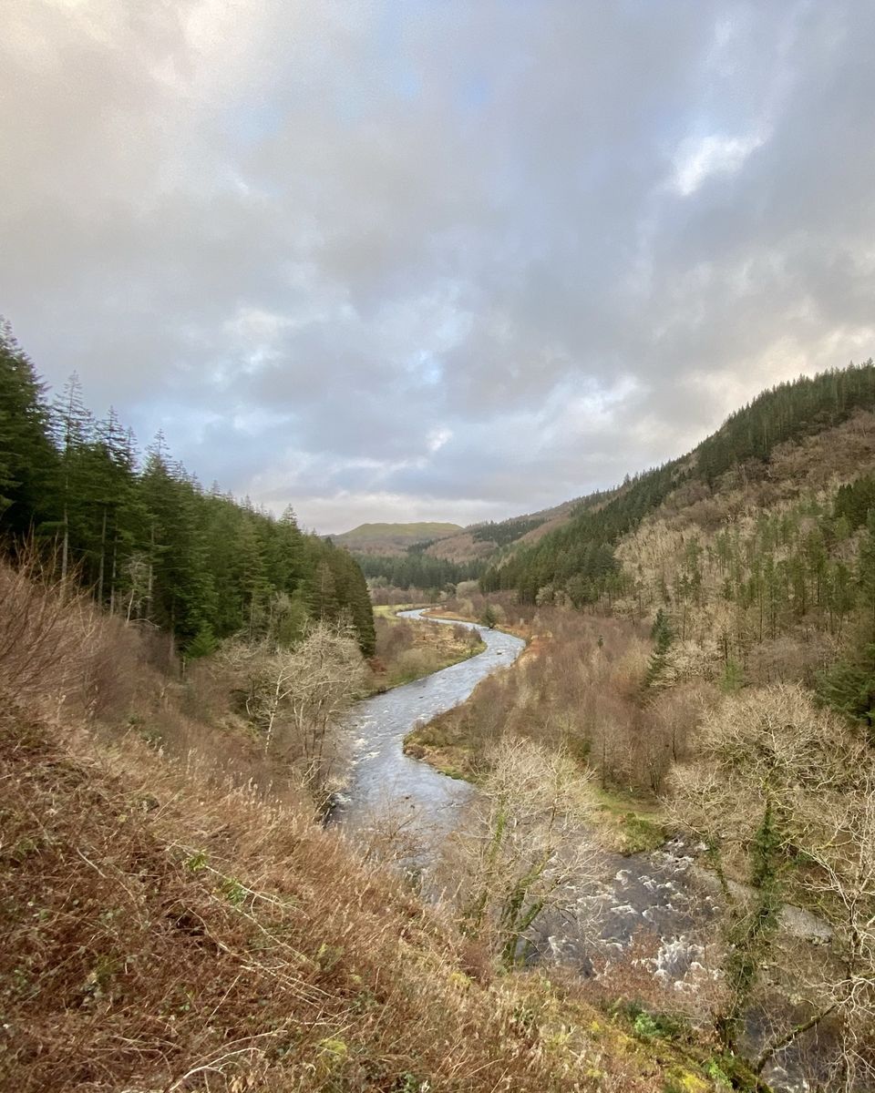 A river winding through a wooded valley