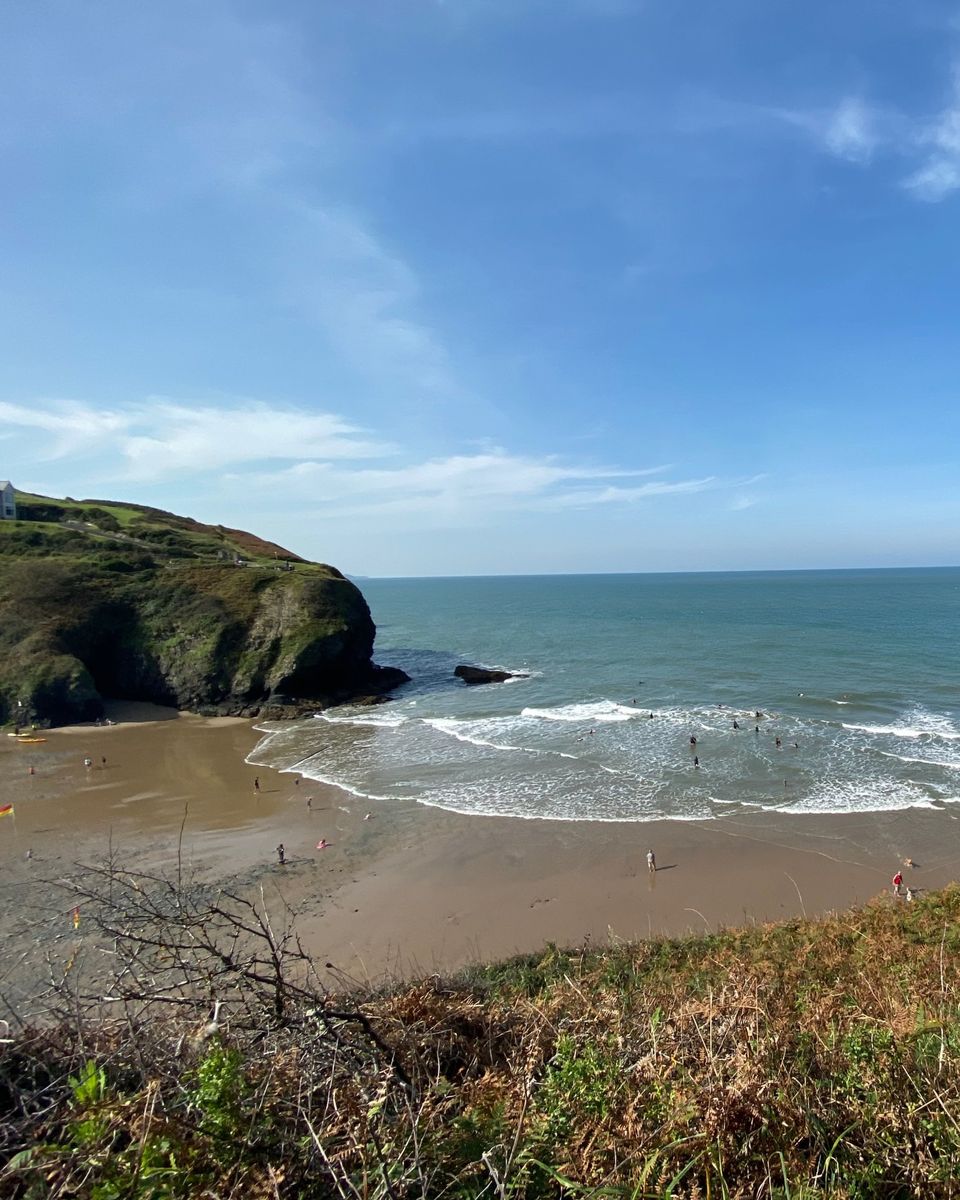 A sandy cove below a grassy headland