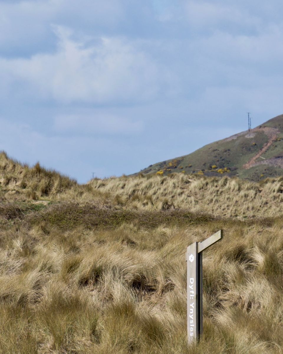 A wooden signpost among the sand dunes at Ynyslas
