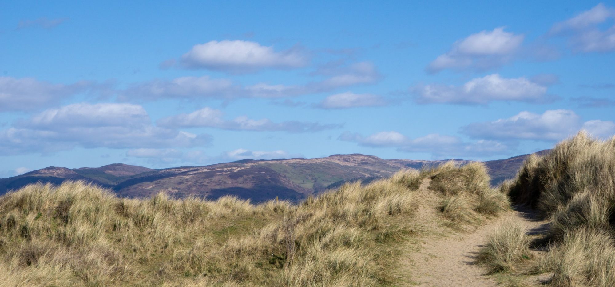 A sandy path through the dunes towards the hills